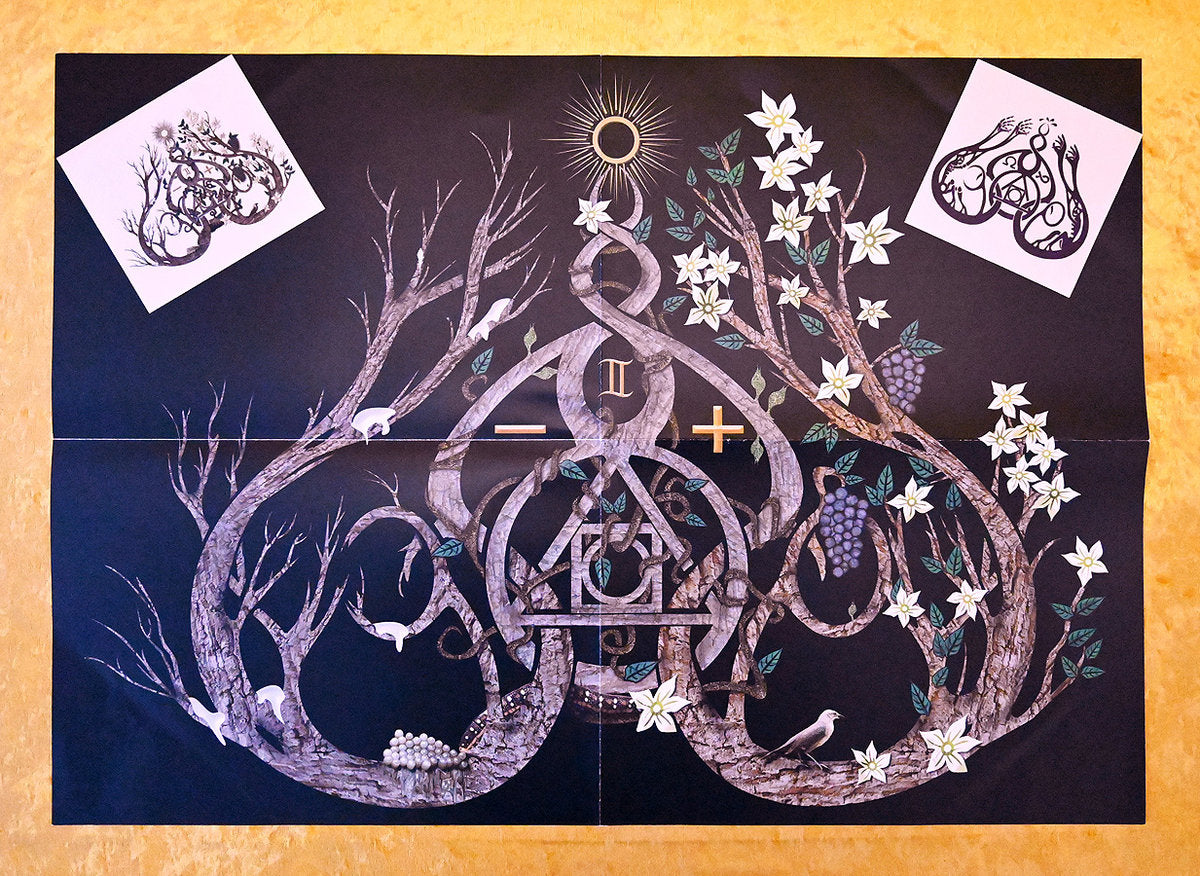 GRIS "Il était une forêt... " SUPER DELUXE Vinyl 2xLP (color, lim. 280, gatefold, booklet, poster, stickers, screen printed)