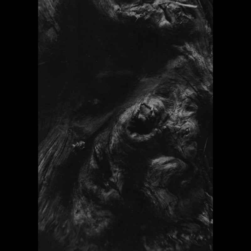 PAYSAGE D'HIVER "Steineiche" CD (A5 digipak, sealed in envelope)