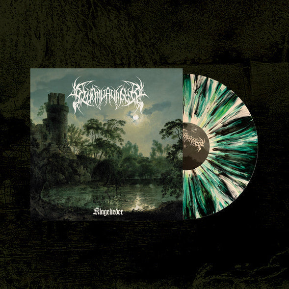 Vinyl record with a landscape cover and a sunburst design on the disc