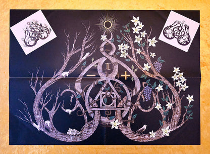 GRIS "Il était une forêt... " SUPER DELUXE Vinyl 2xLP (color, lim. 280, gatefold, booklet, poster, stickers, screen printed)