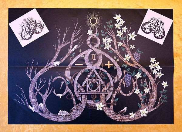 GRIS "Il était une forêt... " SUPER DELUXE Vinyl 2xLP (color, lim. 280, gatefold, booklet, poster, stickers, screen printed)
