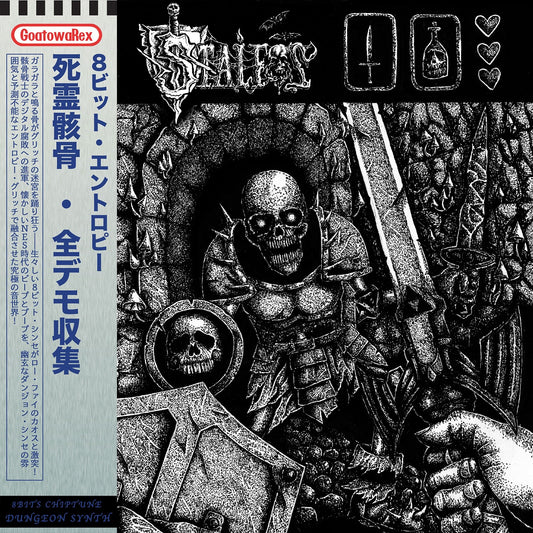 STALFOS "8-Bit Entropy (Demo Collection)" vinyl LP (gatefold, obi)