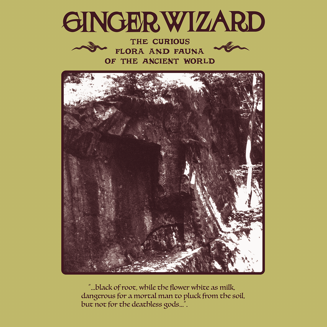 GINGER WIZARD "The Curious Flora and Fauna of the Ancient World" Vinyl LP (color, lim.300 w/booklet)