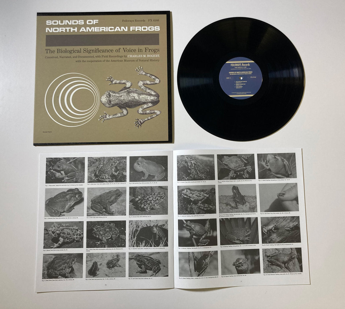 V/A “Sounds of North American Frogs” vinyl LP (tip-on jacket, booklet)