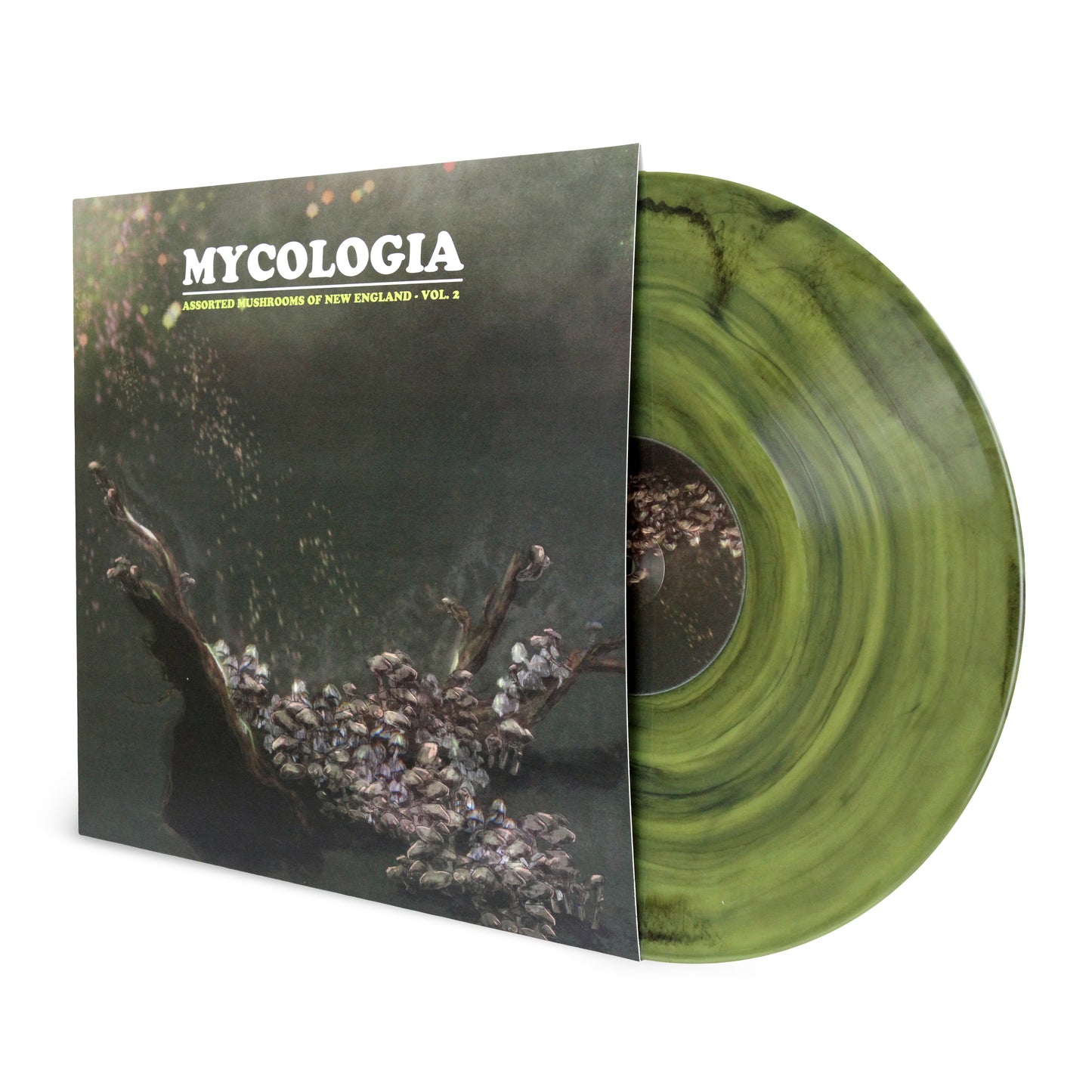 MYCOLOGIA "Assorted Mushrooms of New England Vol.2" vinyl LP