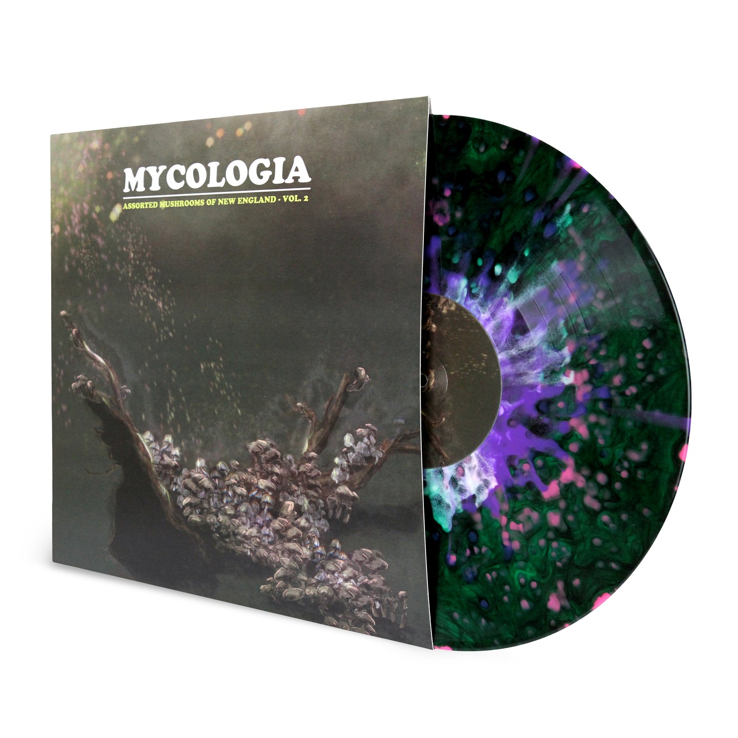 MYCOLOGIA "Assorted Mushrooms of New England Vol.2" vinyl LP (3 color options)