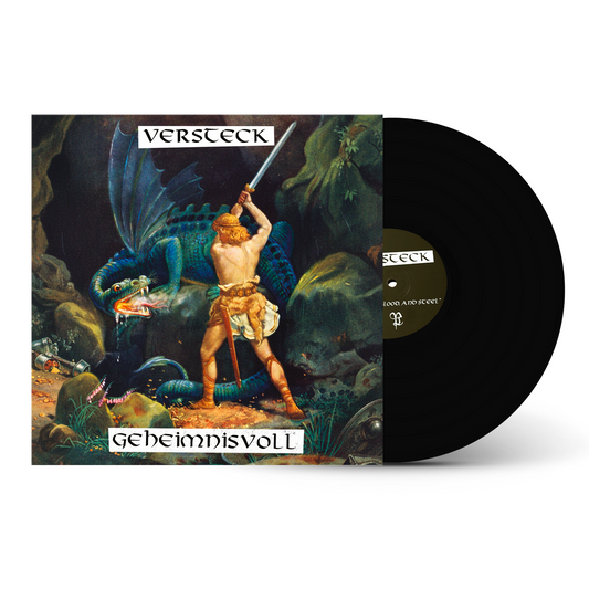 Vinyl record with a fantasy-themed cover featuring a warrior and dragon.