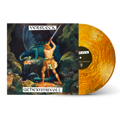 Vinyl record with a fantasy-themed cover featuring a warrior and dragon.