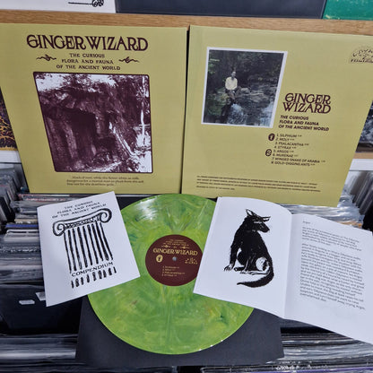 GINGER WIZARD "The Curious Flora and Fauna of the Ancient World" Vinyl LP (color, lim.300 w/booklet)