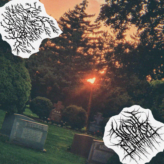 ERYTHRITE THRONE / BLOOD TOWER split 7" (lim.100)