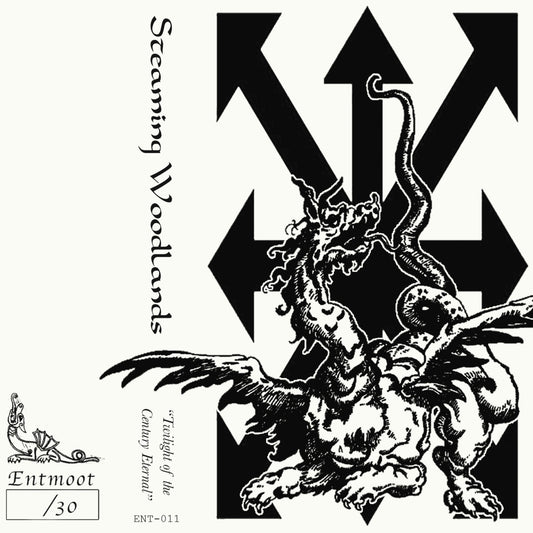 STEAMING WOODLANDS "Twilight of the Century Eternal" cassette tape (lim.30)