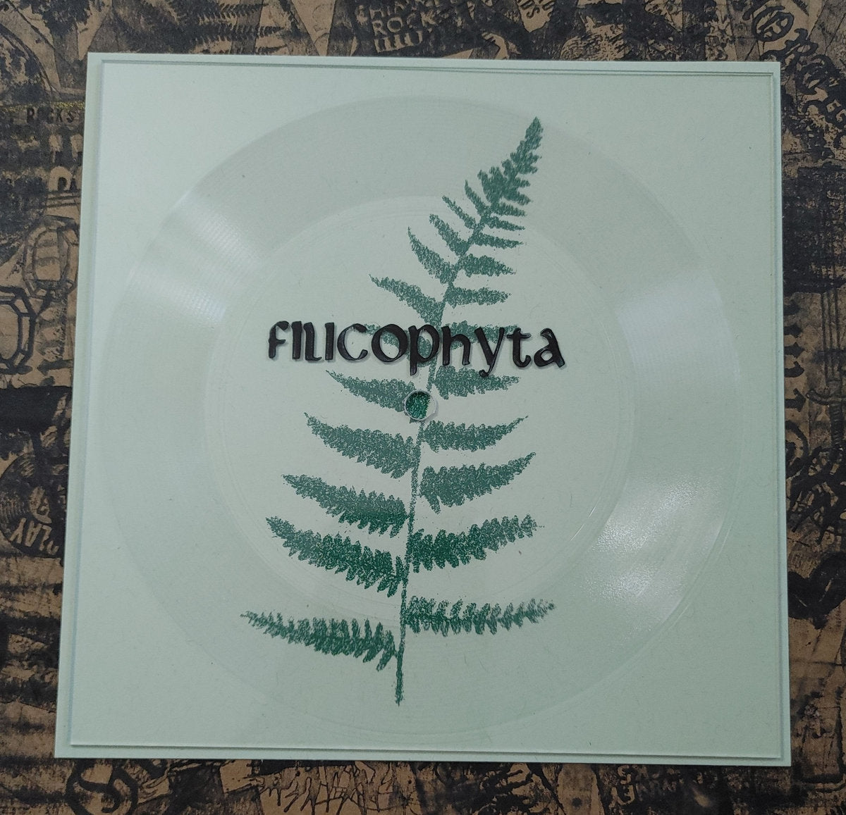 [SOLD OUT] FILICOPHYTA "Demo I" Lathe 7" Vinyl (lim. 50, color)