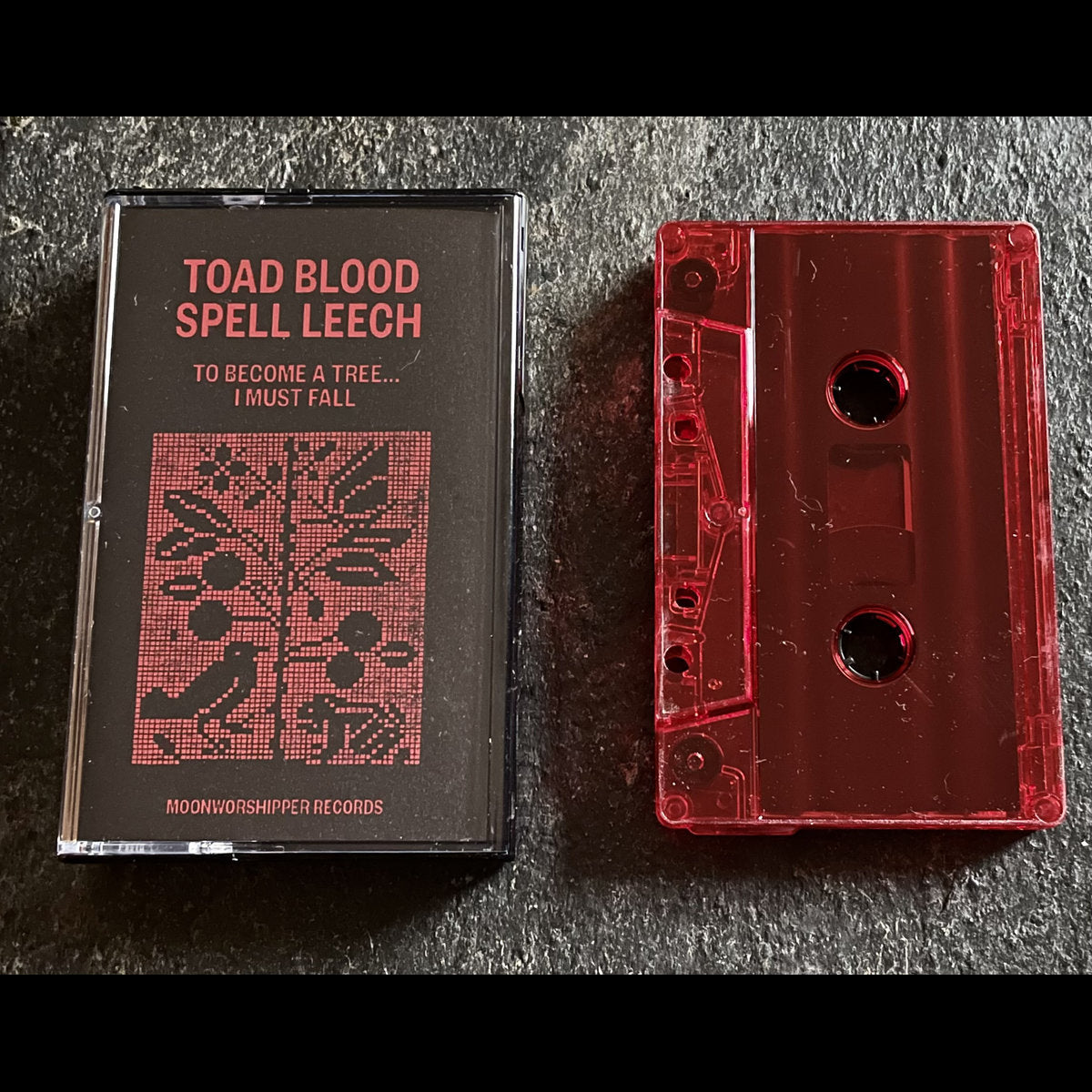 [SOLD OUT] TOAD BLOOD / SPELL LEECH "To Become A Tree... I Must Fall" cassette tape (lim.100)
