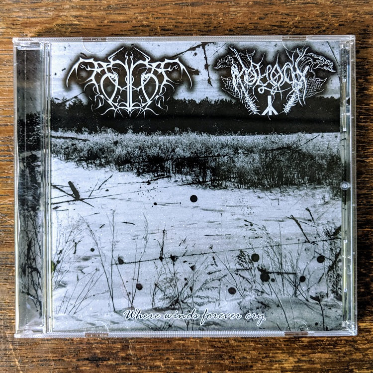 [SOLD OUT] TOMHET / MOLOCH "Where Winds Forever Cry" split CD