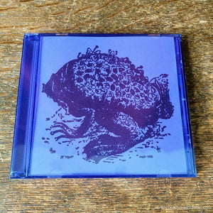 [SOLD OUT] ZHOTHAQQUAHNYTH "Rehearsal at the Church of Saint Toad" CD (Lim. 100)