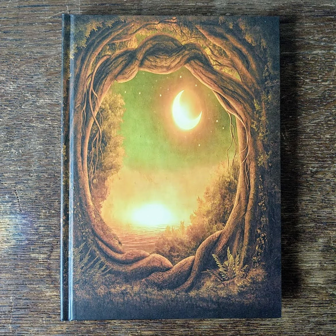 [SOLD OUT] DRUADAN FOREST "The End Of An Era - A Journey To The Unknown" 2xCD Book Box Set