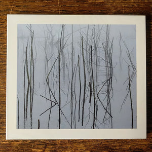 [SOLD OUT] OLHAVA "Frozen Bloom" CD [Digipak]