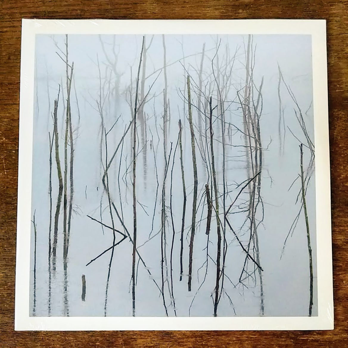 [SOLD OUT] OLHAVA "Frozen Bloom" Vinyl 2xLP (gatefold)