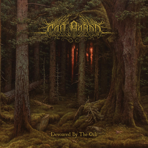 CÂN BARDD "Devoured by the Oak" Deluxe vinyl 2xLP (double LP gatefold, black, lim. 300, poster, sticker)