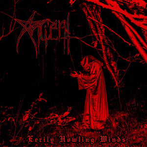 [SOLD OUT] ANCIENT "Eerily Howling Winds" vinyl 2xLP (color, double LP gatefold)