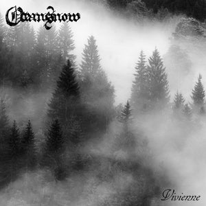 [SOLD OUT] OCEANSNOW "Vivienne" Vinyl LP (color) [Spectral Voice]